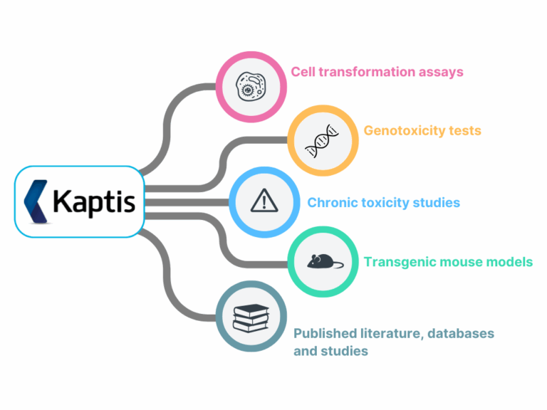 Carcinogenicity assessment made simple with Kaptis: Applying ICH S1B(R1) in 5 steps